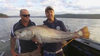 IFISH Hawkesbury Mulloway [upl. by Akiaki41]