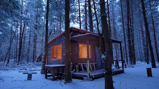 6 months building cabin in the woods off grid house start to finish [upl. by Sirrom]