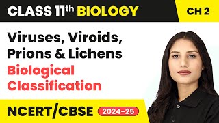 Viruses Viroids Prions amp Lichens  Biological Classification  Class 11 Biology Chapter 2  CBSE [upl. by Bren]