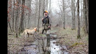 SQUIRREL HUNTING  Running Black Mouth Cur Dog [upl. by Kciredorb]