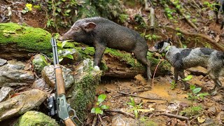 Charged by a Tusky Boar and Keeping Dogs away from Crocodiles Pighunting Australia with Bay Dogs [upl. by Tarton]