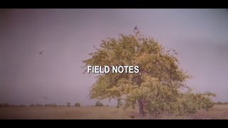 Owl City  Field Notes Official Lyric Video FieldNotes OwlCity [upl. by Durham]