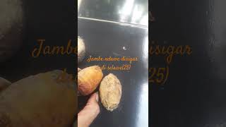 Vilosofi tembang jawa suku jawa lamakuno [upl. by Fayina]