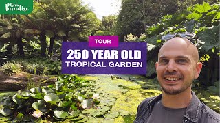 TROPICAL GARDEN with 250 year history TOUR of Abbotsbury Subtropical Gardens [upl. by Atiek]