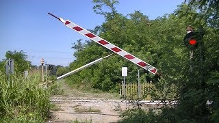 Spoorwegovergang Gropello Cairoli I  Railroad crossing  Passaggio a livello [upl. by Akaenahs]