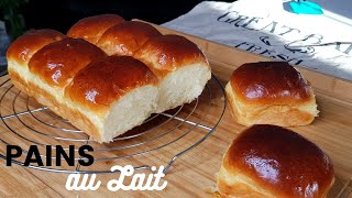 PAINS AU LAIT BRIOCHES  PAIN AU LAIT JAPONAIS TANGZHONG  DINNER ROLLS [upl. by Meridith]