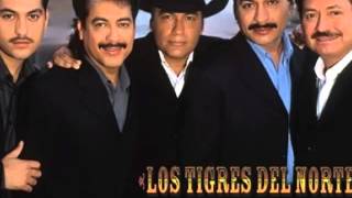 LOS HIJOS DE HERNANDEZLOS TIGRES DEL NORTE [upl. by Sej274]