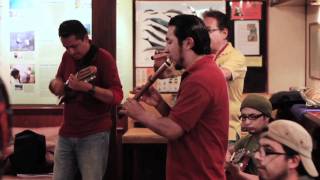 Local Music of The Galápagos Islands [upl. by Muhan159]