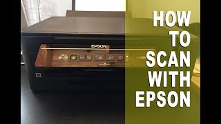 Epson Printers  How To Scan [upl. by Canada]