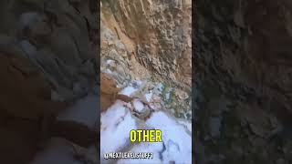 This mountain lion made these hikers question reality 😳 shorts [upl. by Dagley]