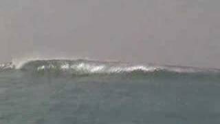 Galapagos Surf Video [upl. by Rainger]