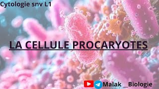 Chapitre n°1 La cellule procaryote partie 1 [upl. by Aynotahs]