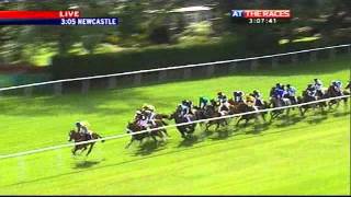 Northumberland Plate 2011 [upl. by Addiel]