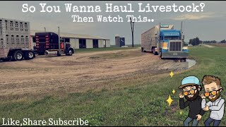 SO YOU WANNA HAUL LIVESTOCK [upl. by Aylatan343]