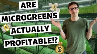 Microgreens Business… Is It ACTUALLY PROFITABLE [upl. by Weide964]