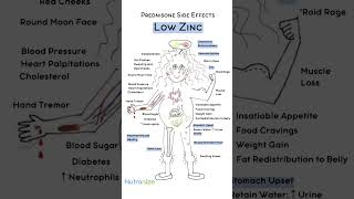 Zinc Deficiency and Prednisone Use Common Side Effects to Watch For [upl. by Staford]