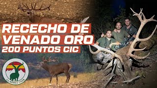 Rececho de venado oro 200 puntos CIC [upl. by Doug593]