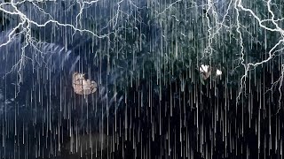 Relax amp Sleep with Powerful Thunderstorm Rain ⚡Hurricane Rain Thunder amp Wind Sounds [upl. by Chadd]