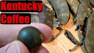 Kentucky Coffee Review and How to Make it  Thats Not Coffee 4 [upl. by Negah]