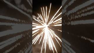 Vivid pyrotechnics REEPERS fireworksuk [upl. by Renwick560]