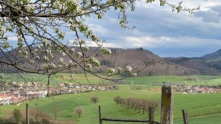 Jurapark  Aargau  Switzerland 🇨🇭 [upl. by Coster597]