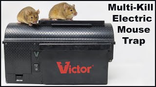 The Victor MultiKill Electric Mousetrap  Full Review Mousetrap Monday [upl. by Wynny]