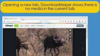 Video DownloadHelper 6 User interface basics [upl. by Aleit]