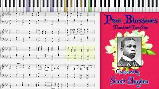 Pear Blossoms by Scott Hayden 1898 Ragtime piano [upl. by Paul542]