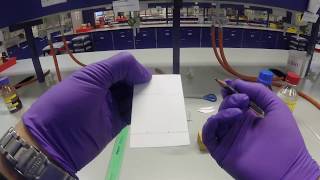 Thin Layer Chromatography [upl. by Tadich]