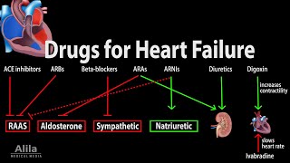 Pharmacology Drugs for Heart Failure Animation [upl. by Nerha]