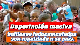 Deportación masiva de Indocumentado HAITIANO el presidente Luis abinader ordenó deportación masiva [upl. by Akital890]