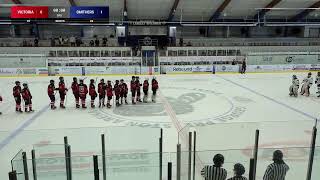 U18 Victoria Admirals T2  Smithers Storm  Provincials Game 4 [upl. by Chrysa]