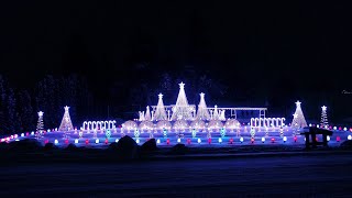 Christmas Can Can Straight No Chaser  Nelson Family Lights [upl. by Natsirt953]