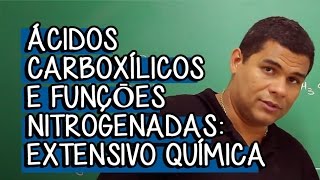 Ácidos Carboxílicos Parte 1  Extensivo Química  Descomplica [upl. by Niak]