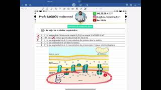 Q2 concours de médecine 2023 SVT [upl. by Aselehc]