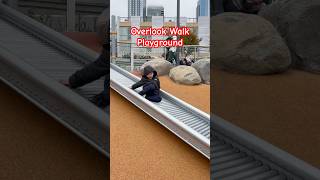 Watch Bennett Slide Into Fun at Seattle’s Overlook Walk overlookwalk Seattle shorts shortsviral [upl. by Ilera]