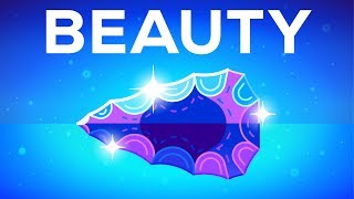 Why Beautiful Things Make us Happy – Beauty Explained [upl. by Zedecrem]