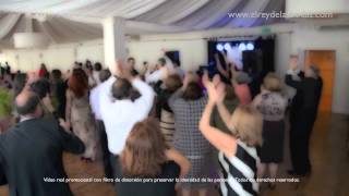 TRÍO ORQUESTA ANIMACIÓN BODA SEVILLA HACIENDA ALBOREA wwwelreydelasbodascom [upl. by Pergrim619]