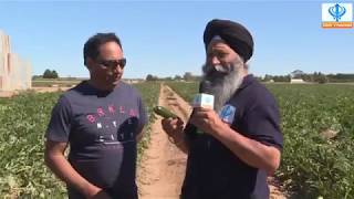 Sikh Channel Australia Khakh Farm Shepparton [upl. by Eural285]