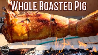 How to roast whole pig seasoned with Salt amp Chilli oil  Fire cooking  Braai  Whole hog rotisserie [upl. by Rheta814]