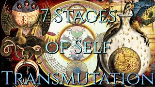 Alchemical Sacrifice Practical ApplicationProcess of the 7 Stages [upl. by Aneen]