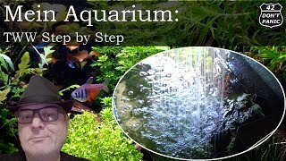 TWW Step by Step  Wasserwechsel erstes Setup  Mein Aquarium 24 [upl. by Maidie]