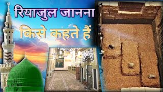 how to Riazul jannah। रियाज उल जन्नाह किसकहते हैं रियाजुल जानना कैसा दिखता है [upl. by Ehsom364]