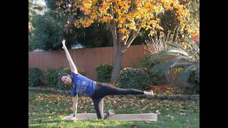 Intermediate Vinyasa Flow Hip Focused [upl. by Hawkie]