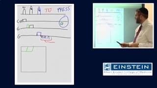 Introducing MRI MR Spectroscopy 48 of 56 [upl. by Hinckley]