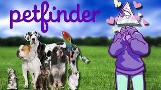 Reviewing Petfinder Names [upl. by Ciryl]