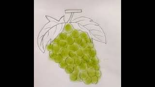 grapes drawing how to draw easy grapes drawing [upl. by Aicilegna]