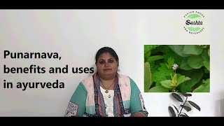 Punarnava benefits and uses in ayurved [upl. by Edrahs]