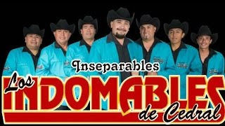 LOS INDOMABLES DE CEDRAL MIX [upl. by Alysa847]