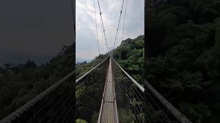 Nyungwe Forest Canopy Walkway [upl. by Ocicnarf]